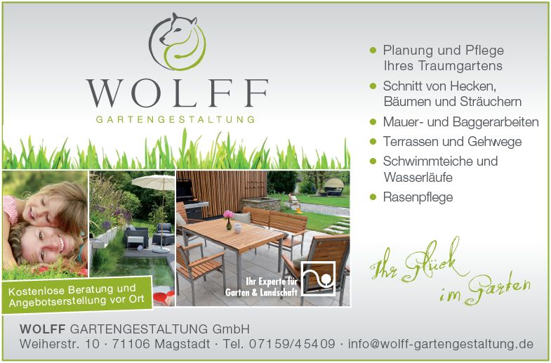 Wolff